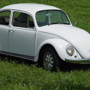 Meet your Posher, Jerry